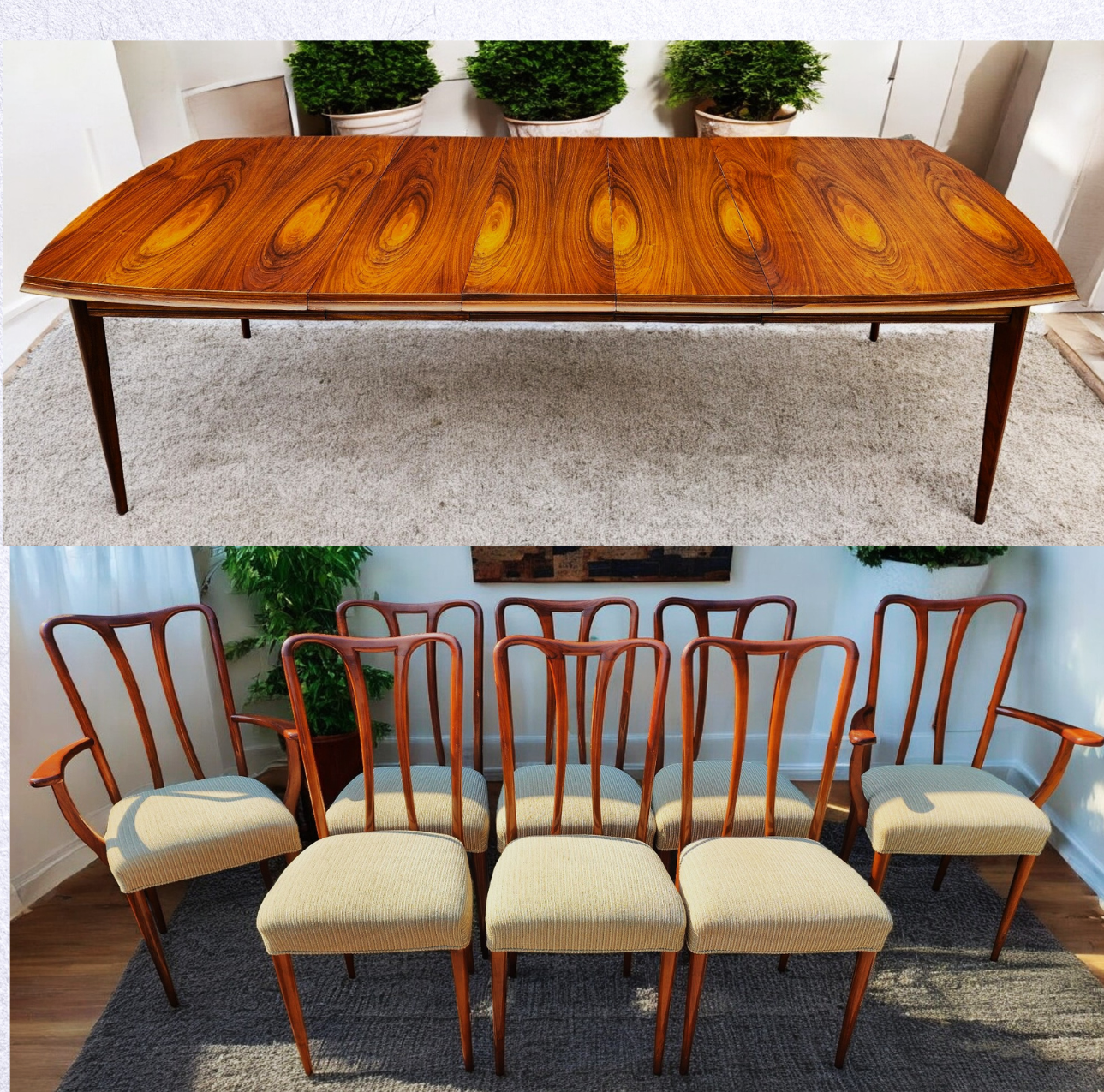 A vintage Mid Century Modern walnut dining table with three leaves and eight chairs, two armchairs and six side chairs, refinished and displayed in a room setting.