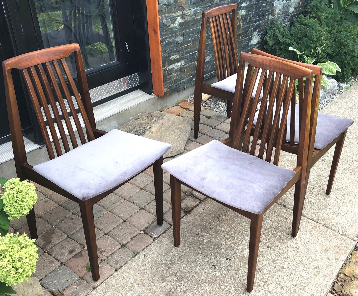 4 REUPHOLSTERED MCM Walnut Chairs, grey velvet, each $125 - Mid Century Modern Toronto