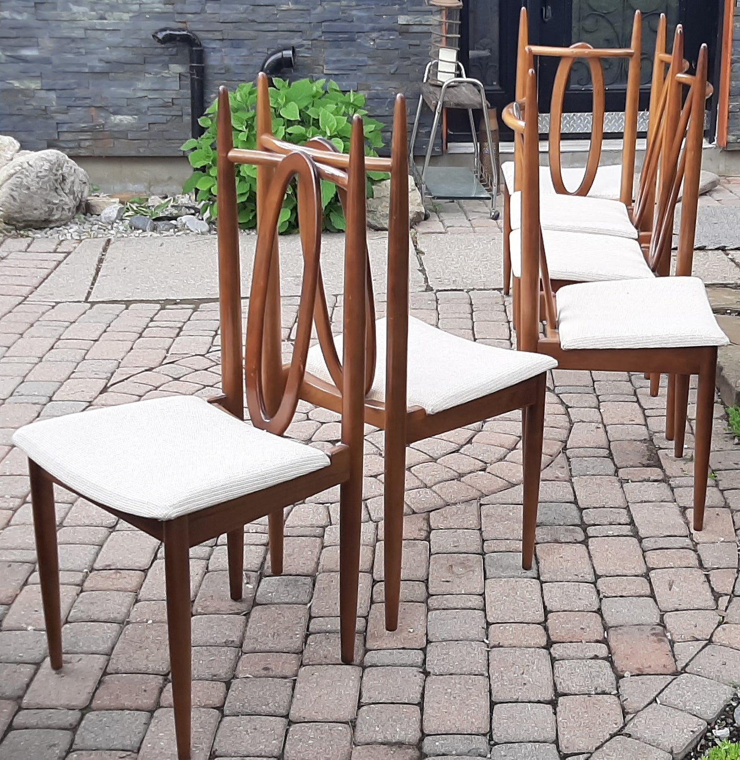 Set of 6 MCM Walnut Chairs by Honderich, RESTORED, REUPHOLSTERED (for Milosz)