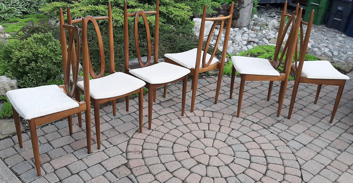 Set of 6 MCM Walnut Chairs by Honderich, RESTORED, REUPHOLSTERED (for Milosz)