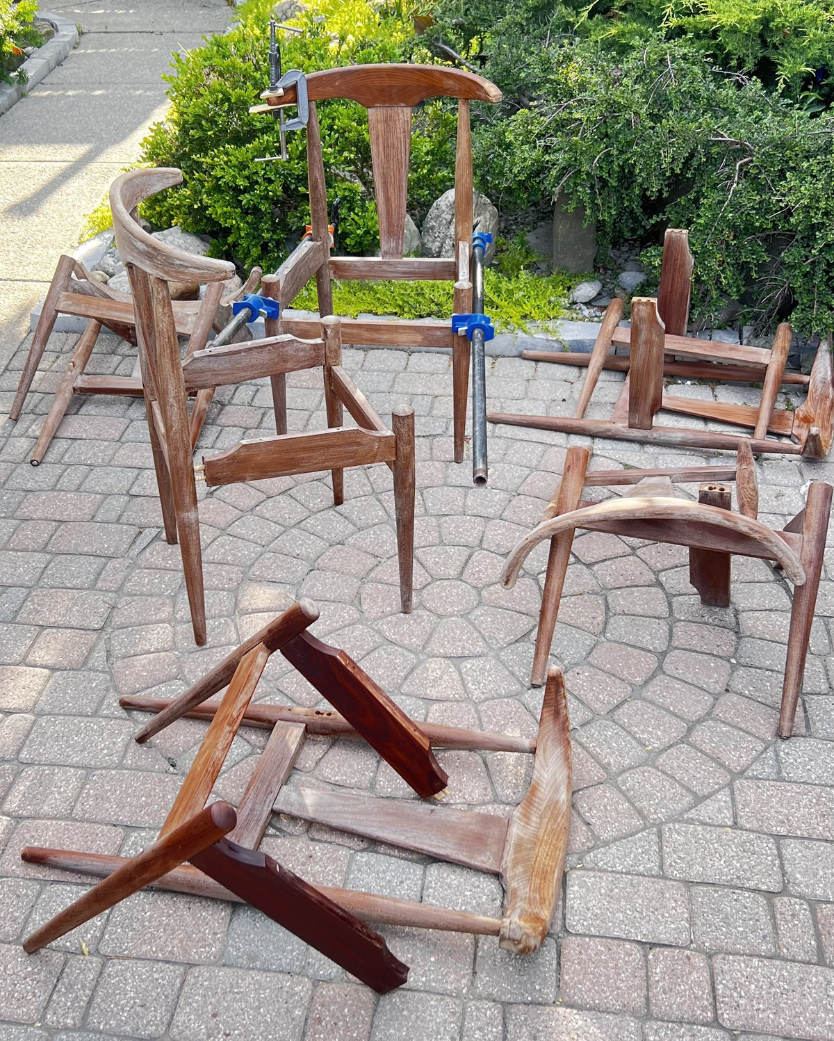 6 REFINISHED will be REUPHOLSTERED Danish MCM Cowhorn Teak Chairs