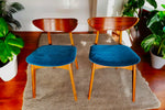 6 REFINISHED Mid Century Modern Walnut Chairs by Deilcraft 3