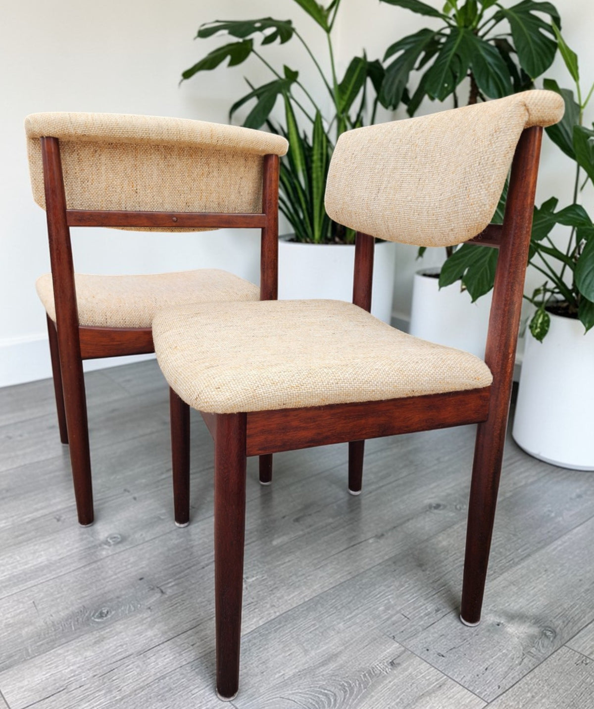 6 RESTORED Danish Mid Century Modern Chairs by Vamdrup