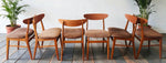 6 RESTORED Danish Mid Century Modern Teak & Beech Chairs by Farstrup 4