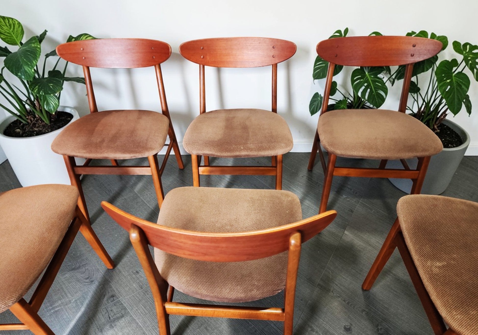 6 RESTORED Danish Mid Century Modern Teak & Beech Chairs by