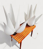 Mid Century Modern Large Sculptural Acrylic Tulip Lamps by R.Rougier 9