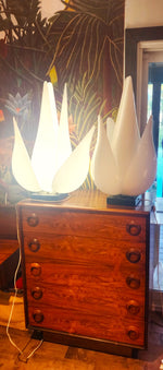 Mid Century Modern Large Sculptural Acrylic Tulip Lamps by R.Rougier 5