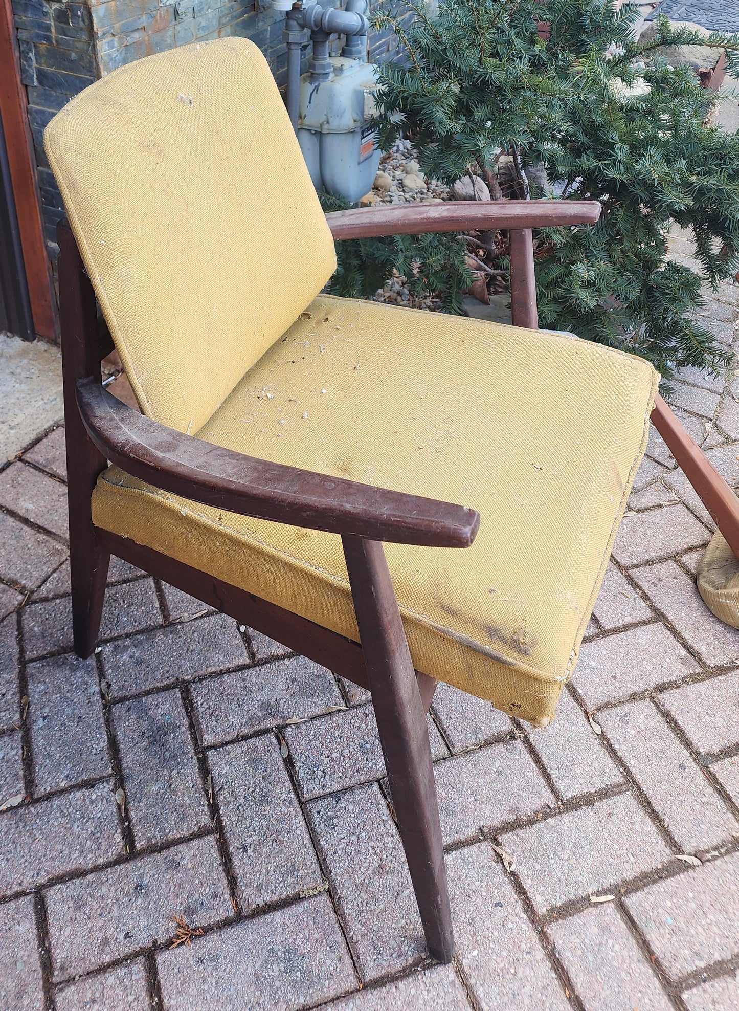 REFINISHED REUPHOLSTERED Mid Century Modern Afromosia Arm Chair by Jan Kuypers