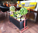 Mid Century Modern Teak & Black Planter Indoor 12
