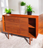 REFINISHED Mid Century Modern Teak Cabinet w Walnut Doors 4 ft Narrow 10