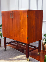 REFINISHED Swedish Mid Century Modern Teak Record Cabinet on Casters 12