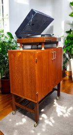 REFINISHED Swedish Mid Century Modern Teak Record Cabinet on Casters 8