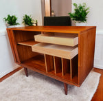 REFINISHED Danish Mid Century Modern Teak Record Tambour Cabinet 47