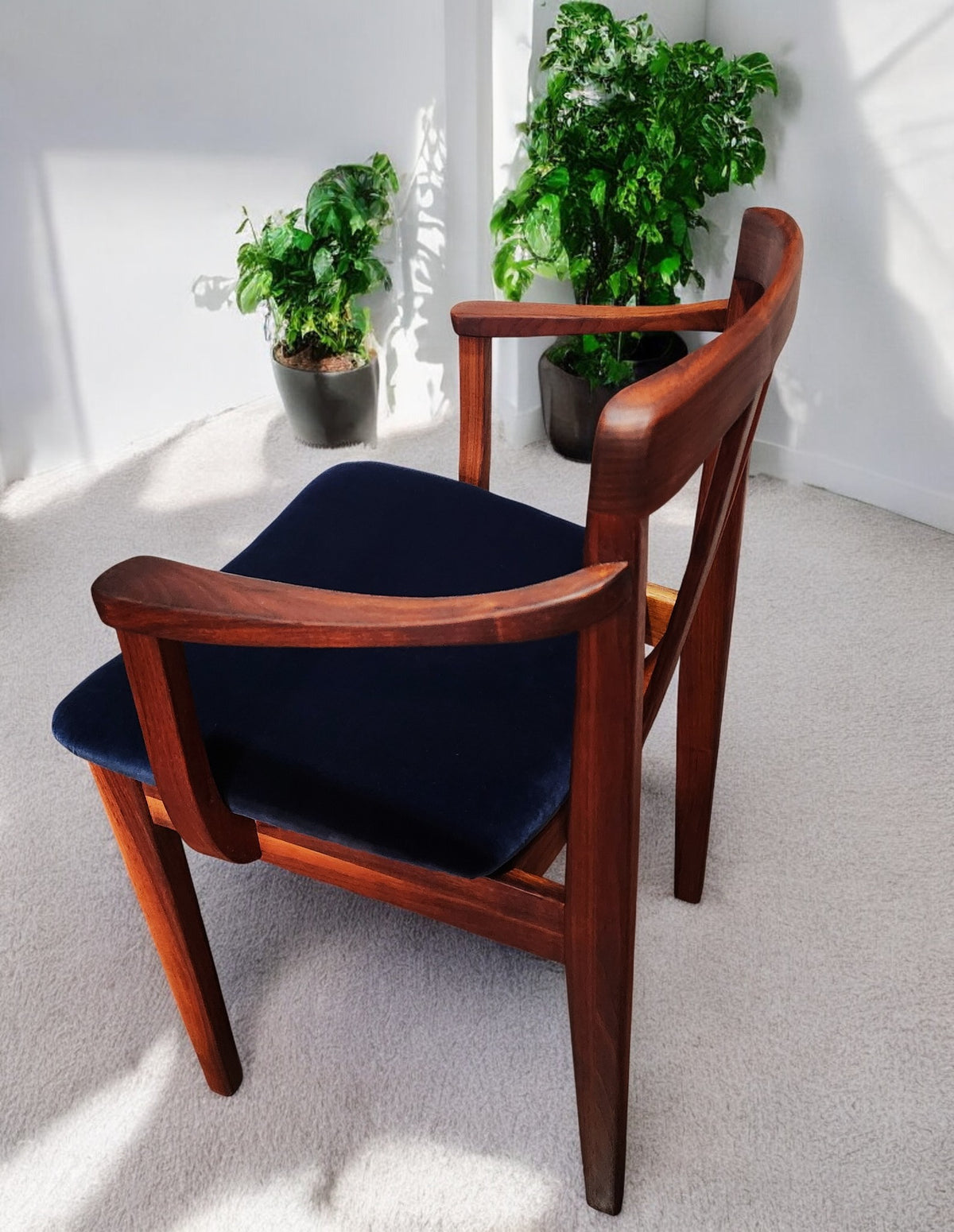 4 REFINISHED REUPHOLSTERED MCM Walnut Chairs by Honderich