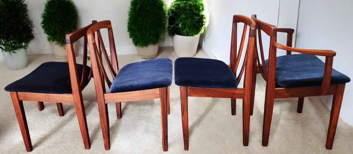 4 REFINISHED REUPHOLSTERED MCM Walnut Chairs by Honderich