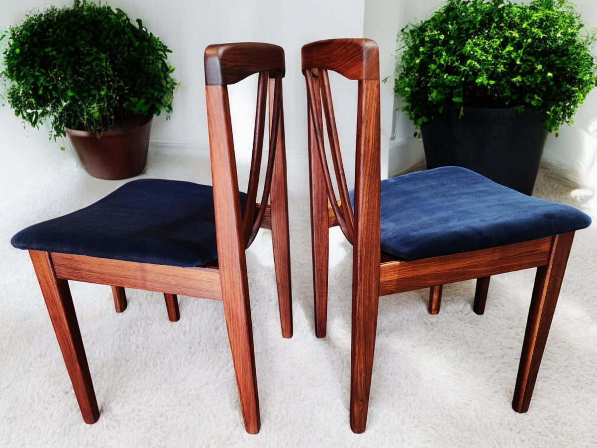 4 REFINISHED REUPHOLSTERED MCM Walnut Chairs by Honderich