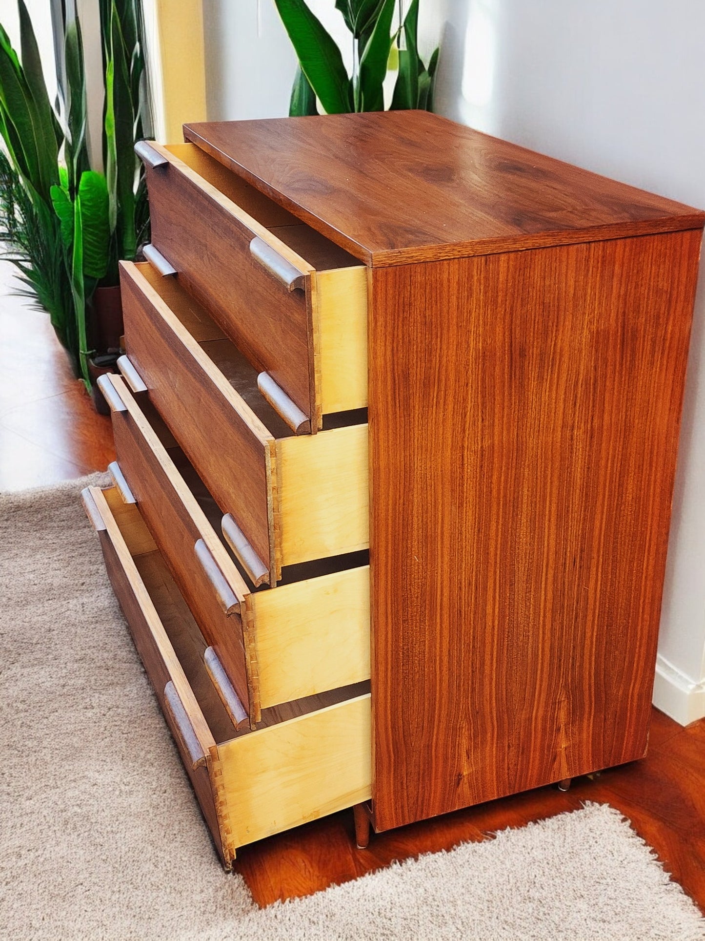 REFINISHED Mid Century Modern Walnut Tallboy 36"