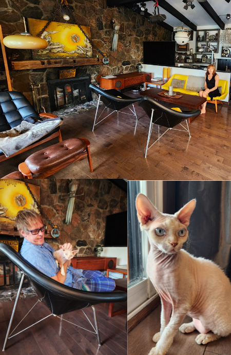 Meticulously restored vintage mid-century modern furniture that lasts for generations.
