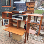 Mid Century Modern Teak Media Console Bar RESTORED - Mid Century Modern Toronto 5