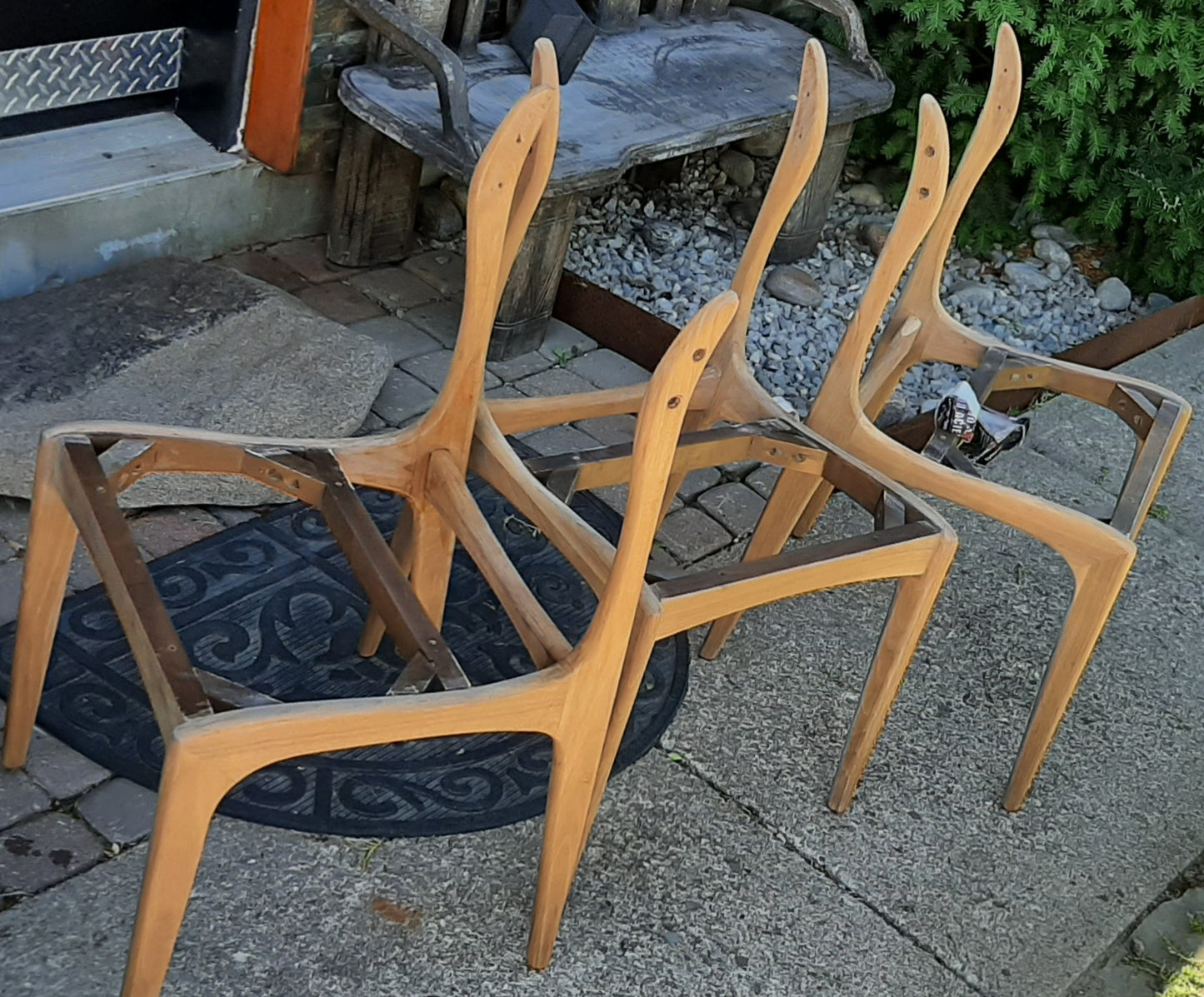 4 REFINISHED REUPHOLSTERED Mid Century Modern Walnut Chairs