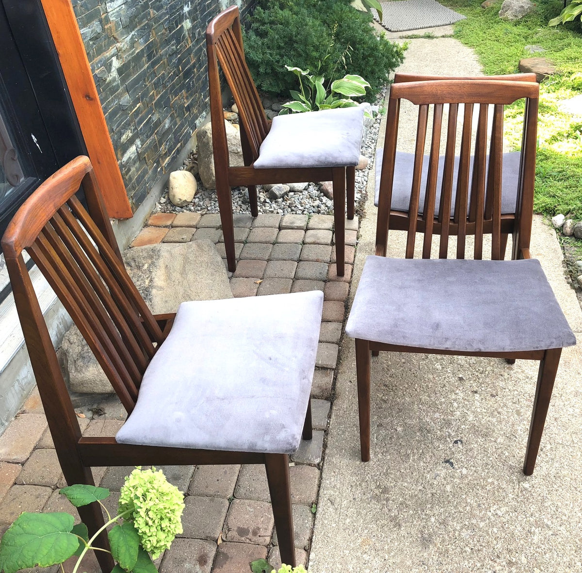 4 REUPHOLSTERED MCM Walnut Chairs, grey velvet, each $125 - Mid Century Modern Toronto
