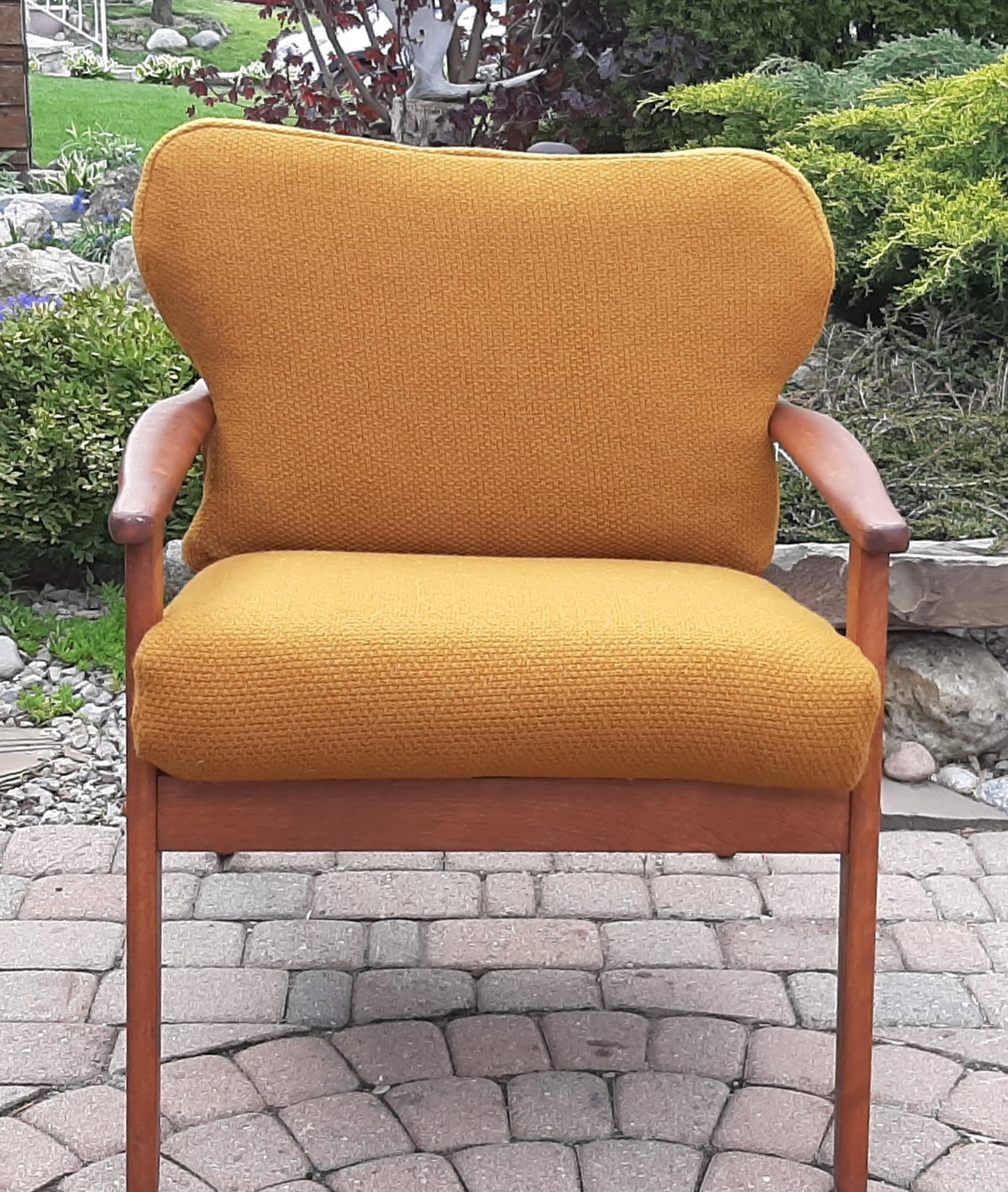 Set of 2 REFINISHED REUPHOLSTERED MCM Solid Wood Lounge Armchairs in mustard wool, like new