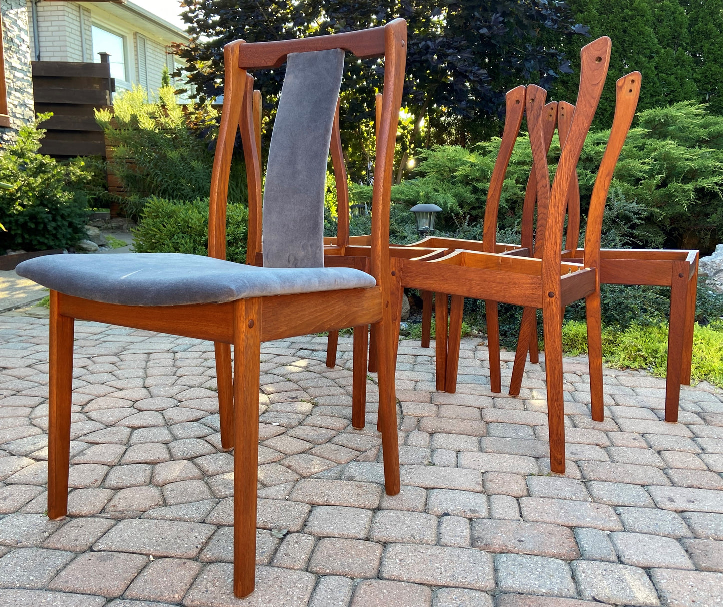 6 REFINISHED REUPHOLSTERED Danish Mid Century Modern Teak Chairs by VS, PERFECT