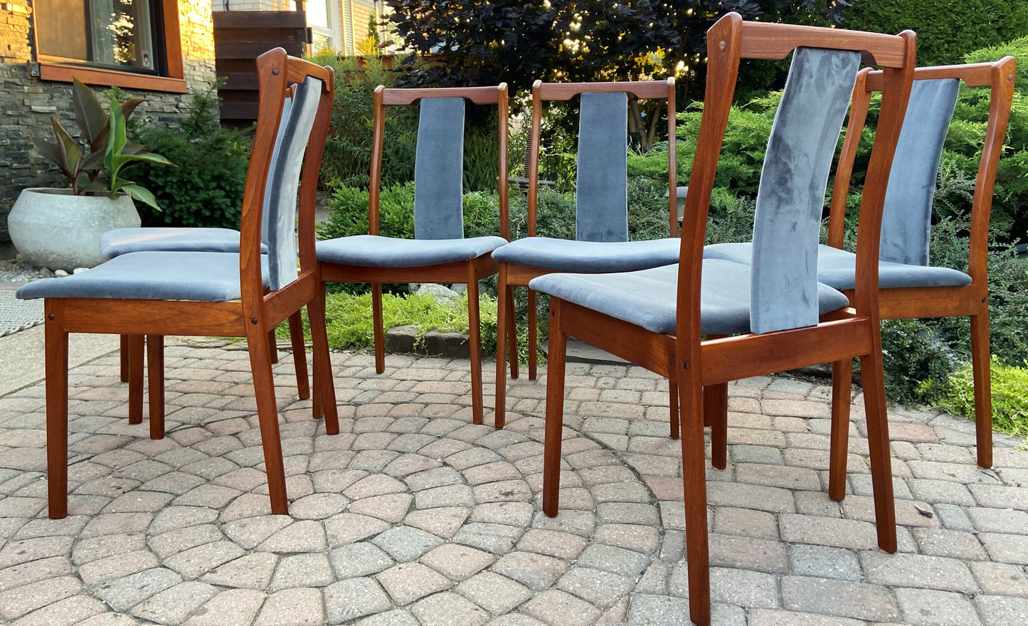 6 REFINISHED REUPHOLSTERED Danish Mid Century Modern Teak Chairs by VS, PERFECT