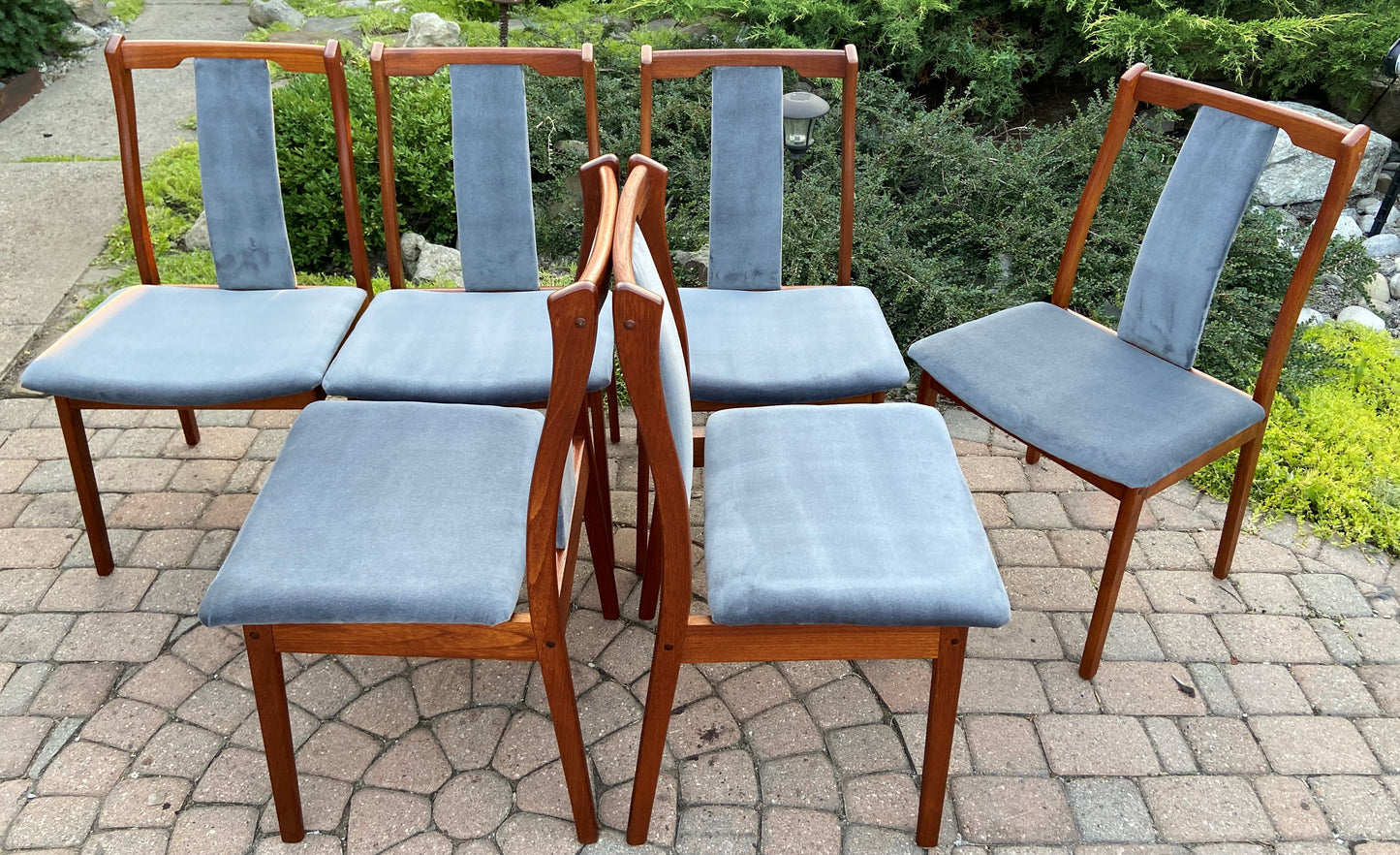 6 REFINISHED REUPHOLSTERED Danish Mid Century Modern Teak Chairs by VS, PERFECT