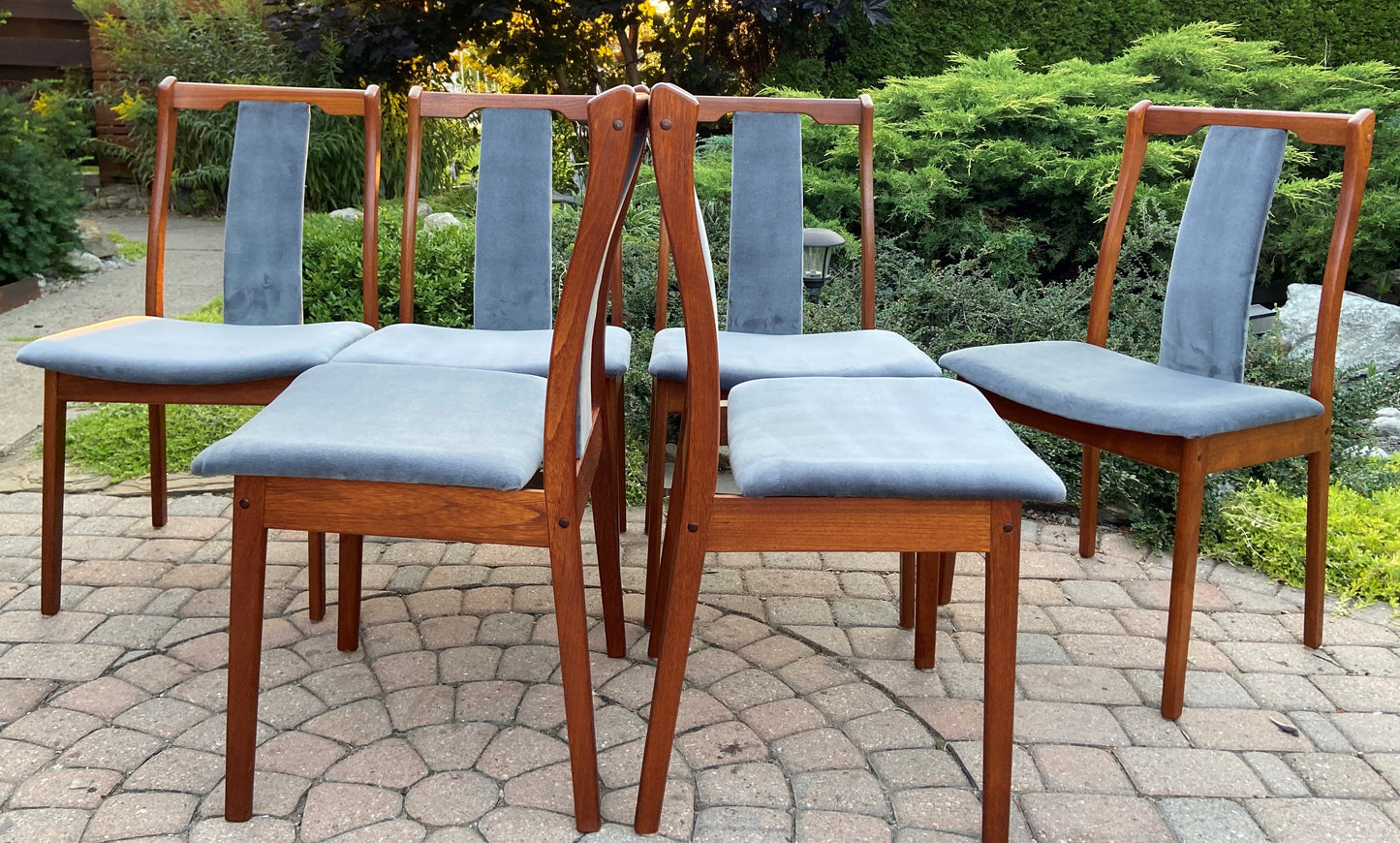 6 REFINISHED REUPHOLSTERED Danish Mid Century Modern Teak Chairs by VS, PERFECT