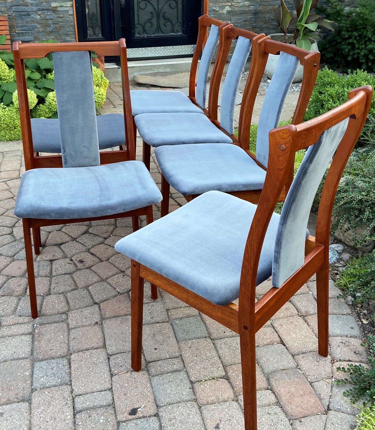 6 REFINISHED REUPHOLSTERED Danish Mid Century Modern Teak Chairs by VS, PERFECT