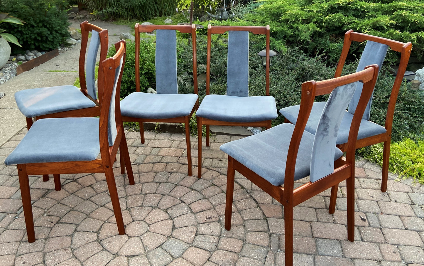 6 REFINISHED REUPHOLSTERED Danish Mid Century Modern Teak Chairs by VS, PERFECT