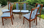 6 REFINISHED REUPHOLSTERED Danish Mid Century Modern Teak Chairs by VS, PERFECT 5