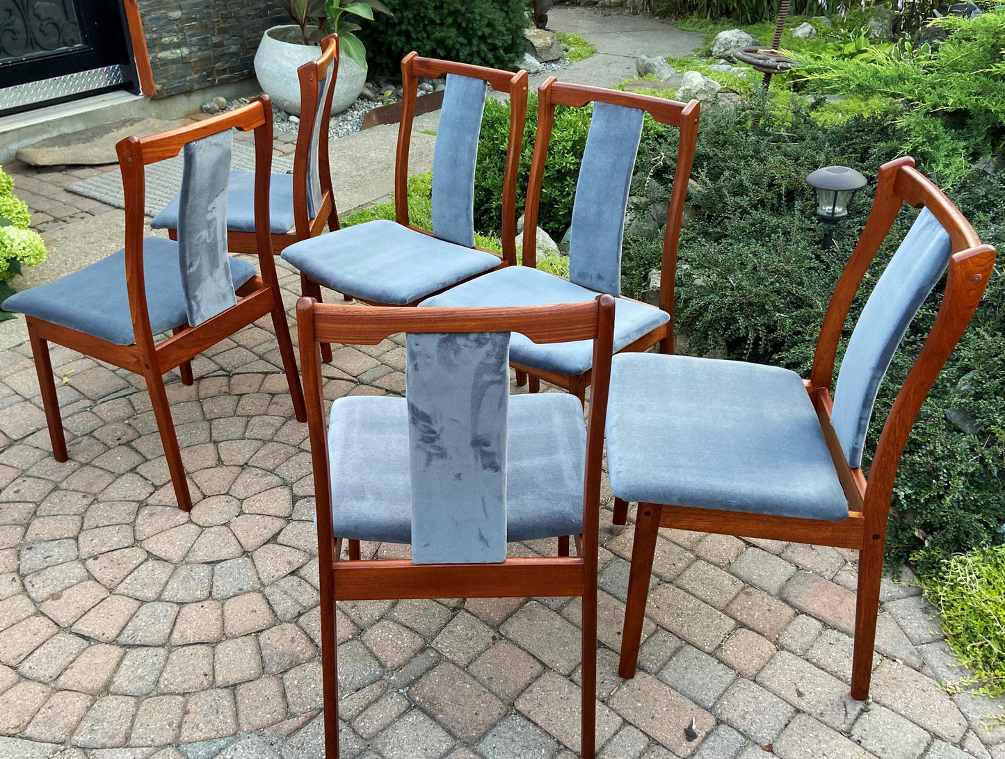 6 REFINISHED REUPHOLSTERED Danish Mid Century Modern Teak Chairs by VS, PERFECT