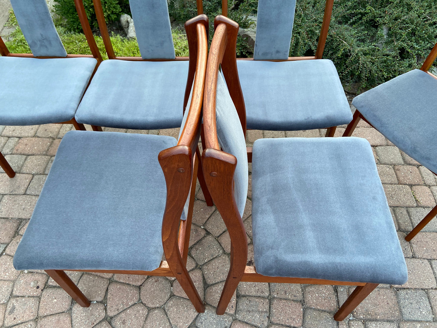 6 REFINISHED REUPHOLSTERED Danish Mid Century Modern Teak Chairs by VS, PERFECT