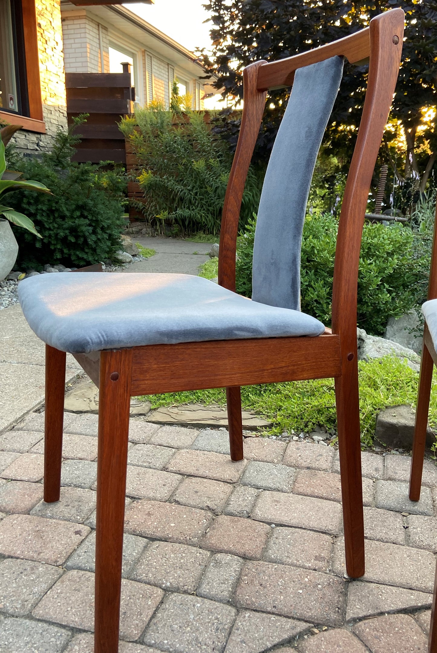 6 REFINISHED REUPHOLSTERED Danish Mid Century Modern Teak Chairs by VS, PERFECT