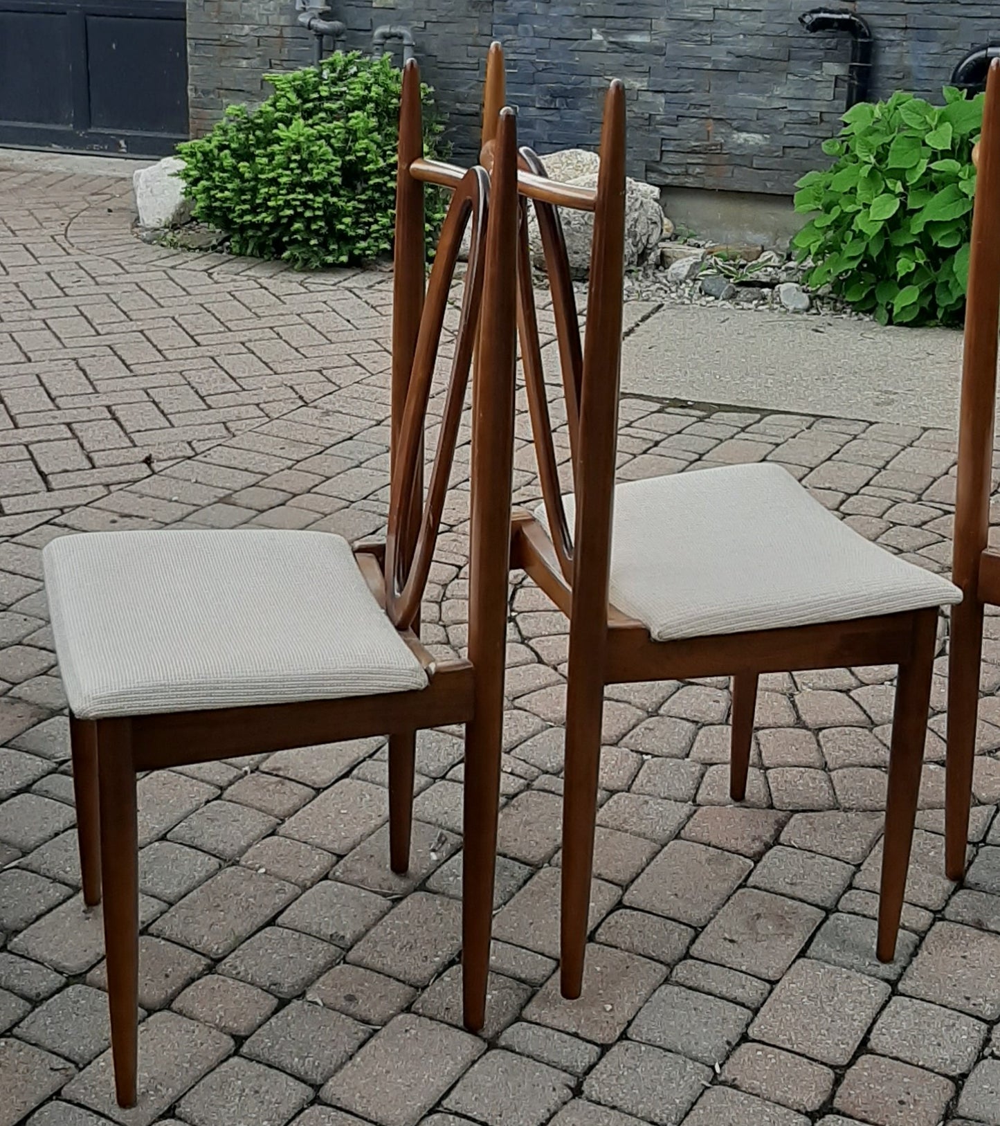 Set of 6 MCM Walnut Chairs by Honderich, RESTORED, REUPHOLSTERED (for Milosz)