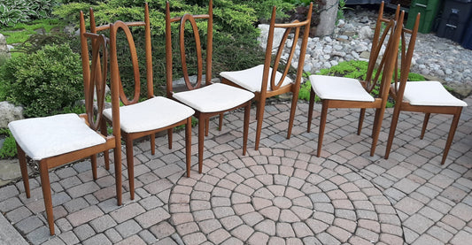 Set of 6 MCM Walnut Chairs by Honderich, RESTORED, REUPHOLSTERED (for Milosz)